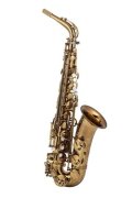 Wood Stone/Alto Saxophone/Super Custom/VL