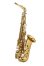 Photo1: Wood Stone/Alto Saxophone/Super Custom X/GL (1)