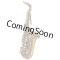 Wood Stone/Alto Saxophone/New Vintage/AF