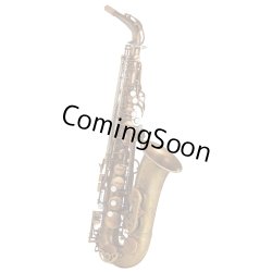 Photo1: Wood Stone/Alto Saxophone/New Vintage/AF