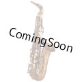 Wood Stone/Alto Saxophone/New Vintage/VL/WOF