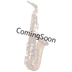 Photo1: Wood Stone/Alto Saxophone/New Vintage/VL/WOF