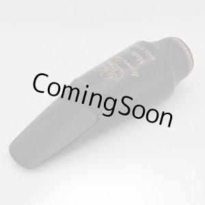 Photo: Wood Stone Alto Saxophone Mouthpiece [Hard Rubber/Model 46] Opening #4