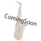 Photo: Wood Stone/Alto Saxophone/New Vintage/AF