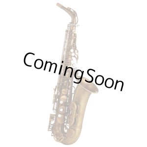 Photo: Wood Stone/Alto Saxophone/New Vintage/AF