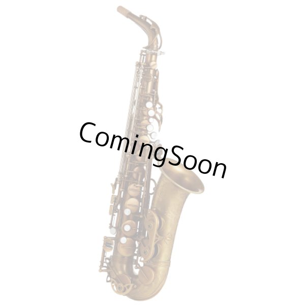 Photo1: Wood Stone/Alto Saxophone/New Vintage/AF