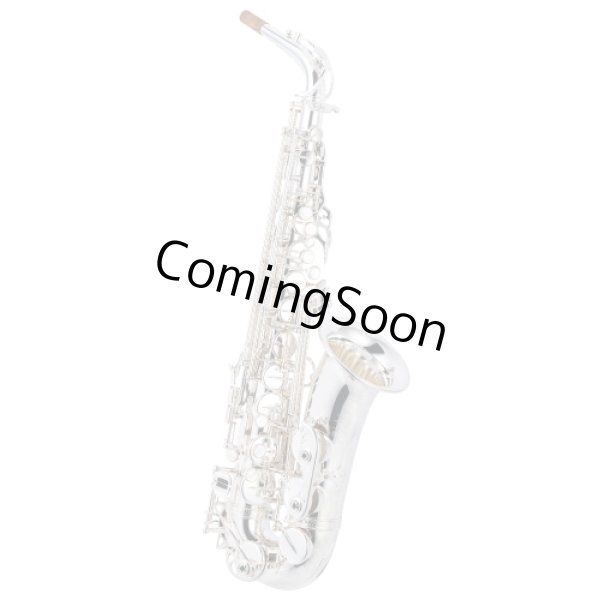 Photo1: Wood Stone/Alto Saxophone/New Vintage/SP