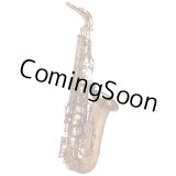 Photo: Wood Stone/Alto Saxophone/New Vintage/VL/WOF