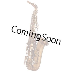 Photo: Wood Stone/Alto Saxophone/New Vintage/VL/WOF