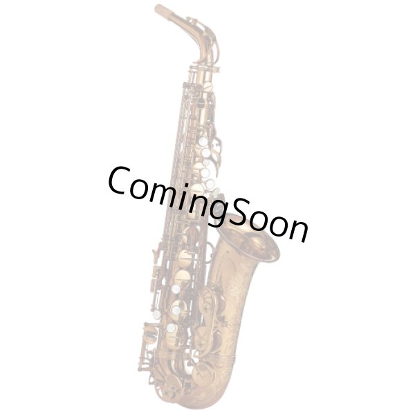 Photo1: Wood Stone/Alto Saxophone/New Vintage/VL/WOF