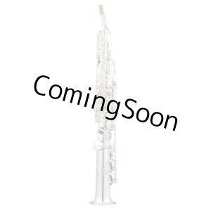 Photo: Wood Stone/Soprano Saxophone/HGSP(Silver Plate)