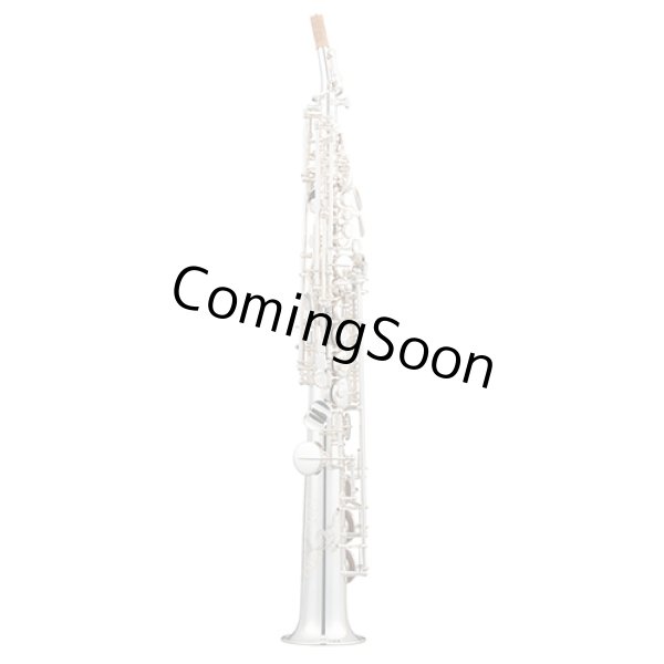 Photo1: Wood Stone/Soprano Saxophone/HGSP(Silver Plate)