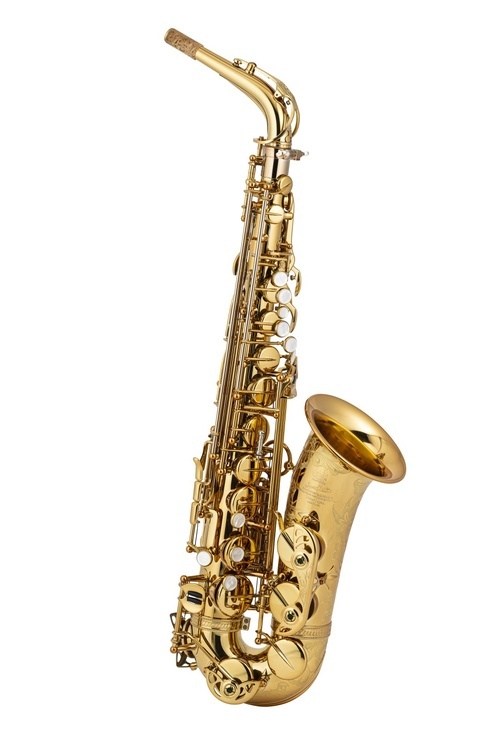 Photo1: Wood Stone/Alto Saxophone/Super Custom X/GL